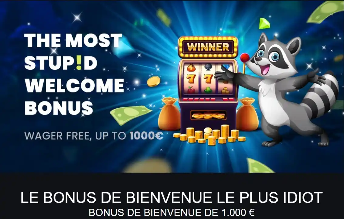 stupid bonus de bienvenue