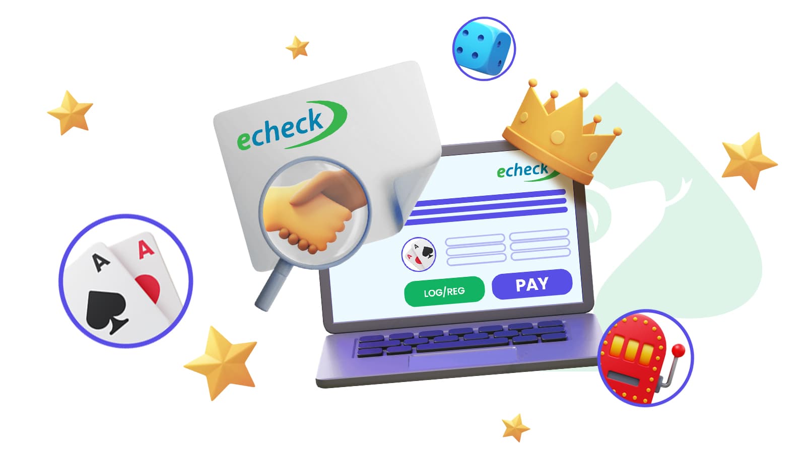 echeck additional payment details