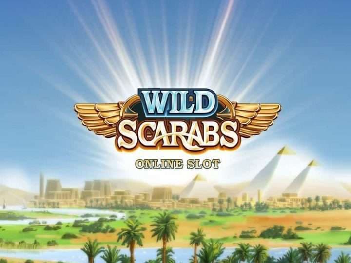 wild scarabs ca