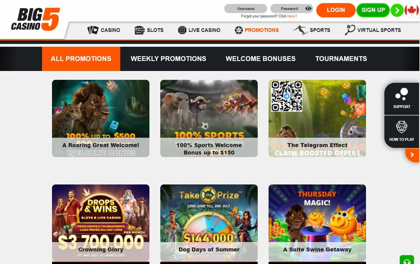 big5 casino promotion