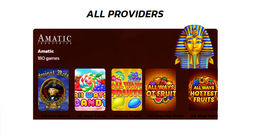 wildcoins providers