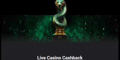 cobra casino live casino cashback