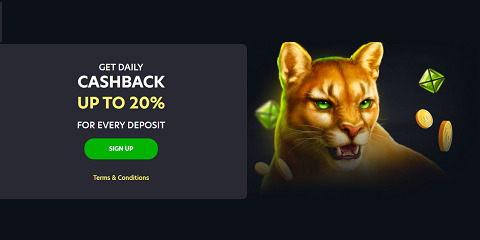 lionspin daily cashback