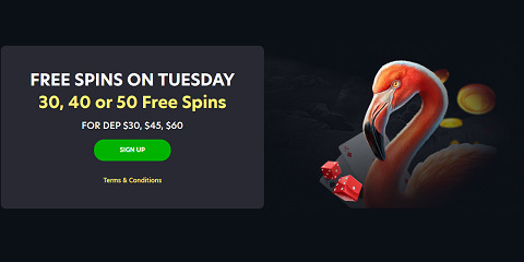 lionspin tuesday free spins