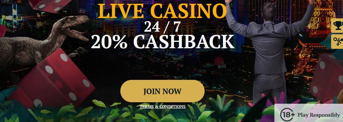 calvin casino live