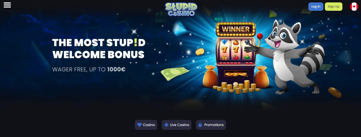 stupid casino review