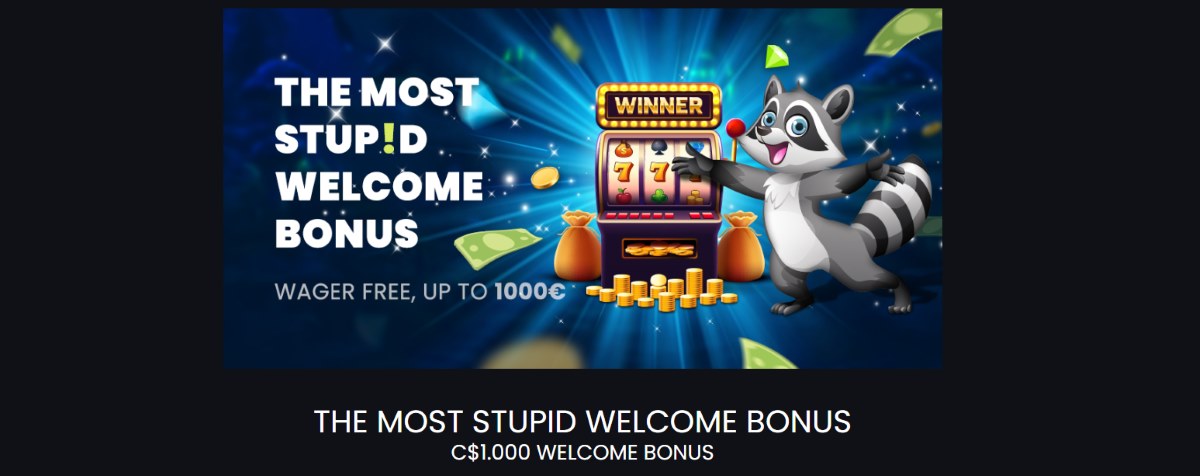 stupid casino registration