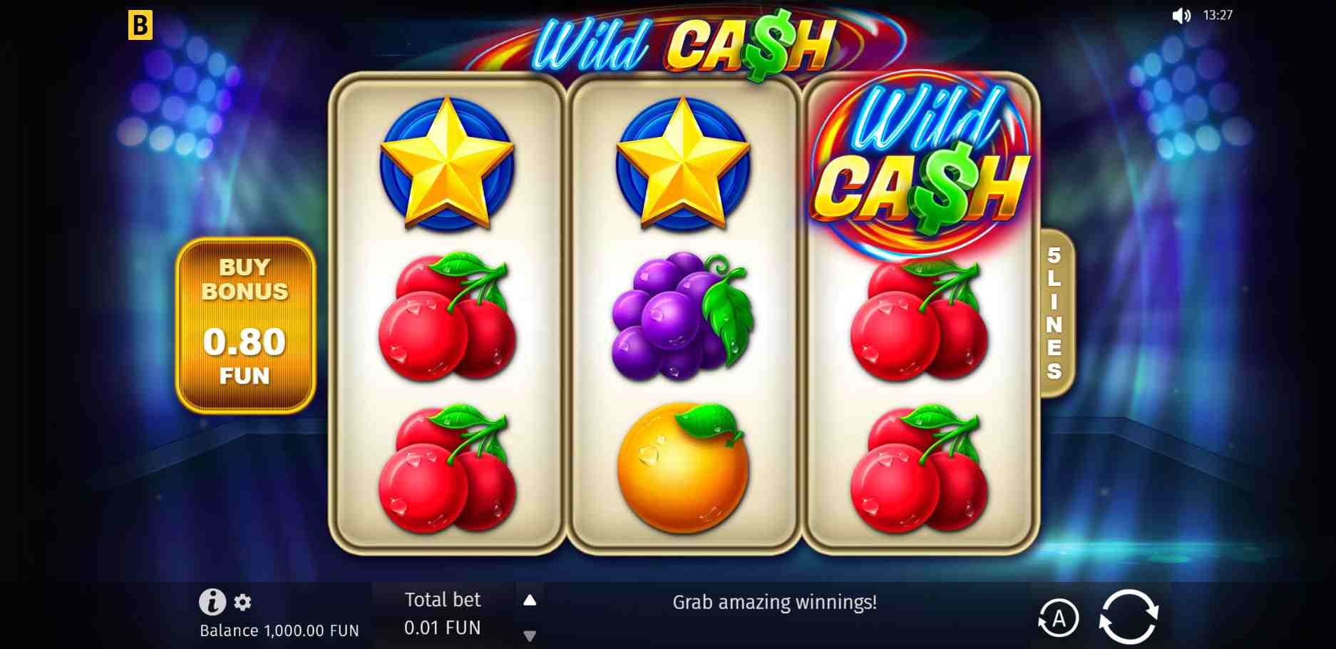 wild cash slot